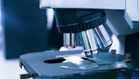 Лекарственная терапия