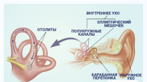 Причины, симптомы и лечение головокружения