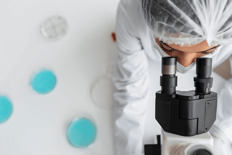 Лимфома Беркитта Лимфома Беркитта